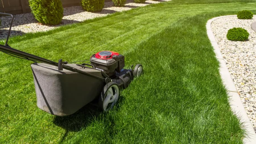 Lawn care